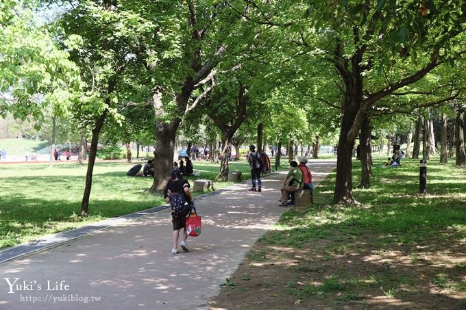 桃園景點【大溪埔頂公園】花海大草皮×親子景點 溜滑梯野餐好去處！(交通玩法攻略圖) - yuki.tw