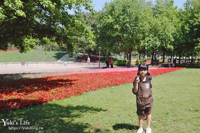 桃園景點【大溪埔頂公園】花海大草皮×親子景點 溜滑梯野餐好去處！(交通玩法攻略圖) - yuki.tw