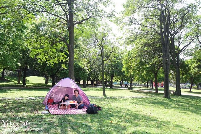 桃園景點【大溪埔頂公園】花海大草皮×親子景點 溜滑梯野餐好去處！(交通玩法攻略圖) - yuki.tw