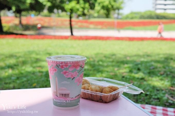 桃園景點【大溪埔頂公園】花海大草皮×親子景點 溜滑梯野餐好去處！(交通玩法攻略圖) - yuki.tw