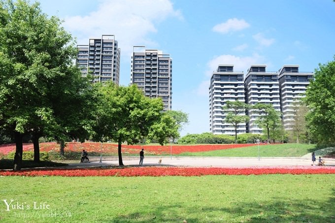 桃園景點【大溪埔頂公園】花海大草皮×親子景點 溜滑梯野餐好去處！(交通玩法攻略圖) - yuki.tw