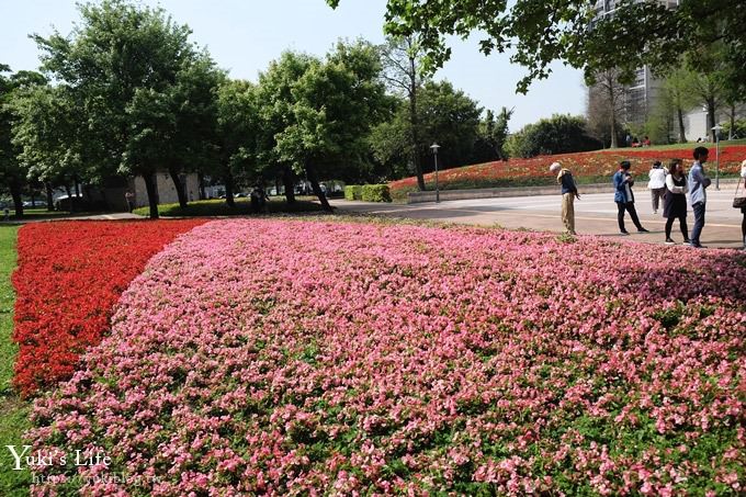 桃園景點【大溪埔頂公園】花海大草皮×親子景點 溜滑梯野餐好去處！(交通玩法攻略圖) - yuki.tw