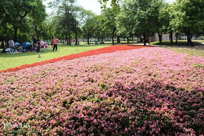 桃園景點【大溪埔頂公園】花海大草皮×親子景點 溜滑梯野餐好去處！(交通玩法攻略圖) - yuki.tw