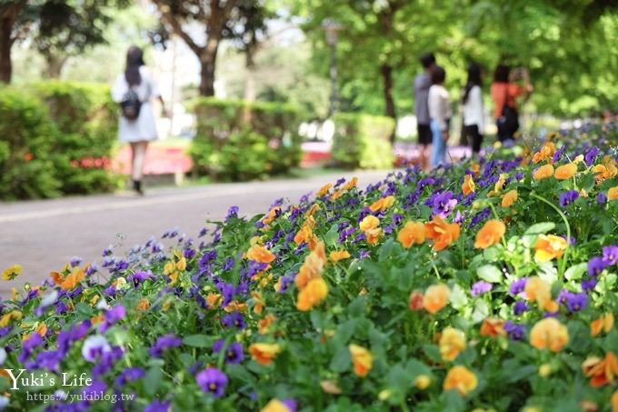 桃園景點【大溪埔頂公園】花海大草皮×親子景點 溜滑梯野餐好去處！(交通玩法攻略圖) - yuki.tw