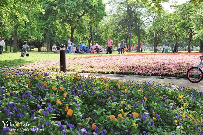 桃園景點【大溪埔頂公園】花海大草皮×親子景點 溜滑梯野餐好去處！(交通玩法攻略圖) - yuki.tw