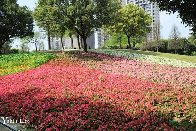 桃園景點【大溪埔頂公園】花海大草皮×親子景點 溜滑梯野餐好去處！(交通玩法攻略圖) - yuki.tw