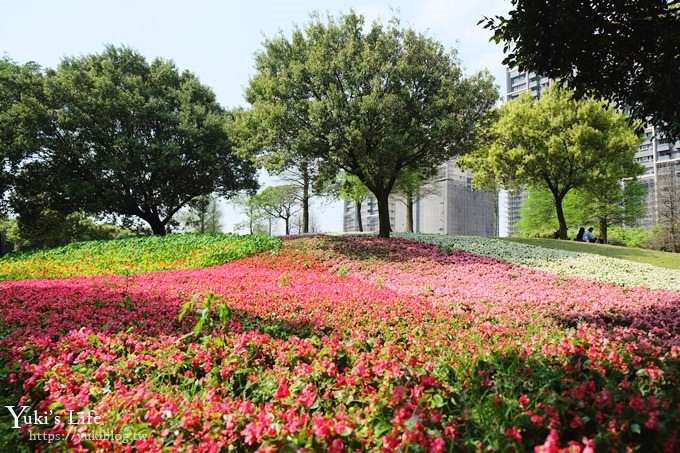 桃園景點【大溪埔頂公園】花海大草皮×親子景點 溜滑梯野餐好去處！(交通玩法攻略圖) - yuki.tw