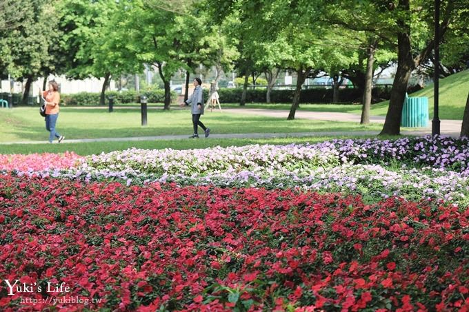 桃園景點【大溪埔頂公園】花海大草皮×親子景點 溜滑梯野餐好去處！(交通玩法攻略圖) - yuki.tw