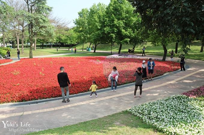 桃園景點【大溪埔頂公園】花海大草皮×親子景點 溜滑梯野餐好去處！(交通玩法攻略圖) - yuki.tw