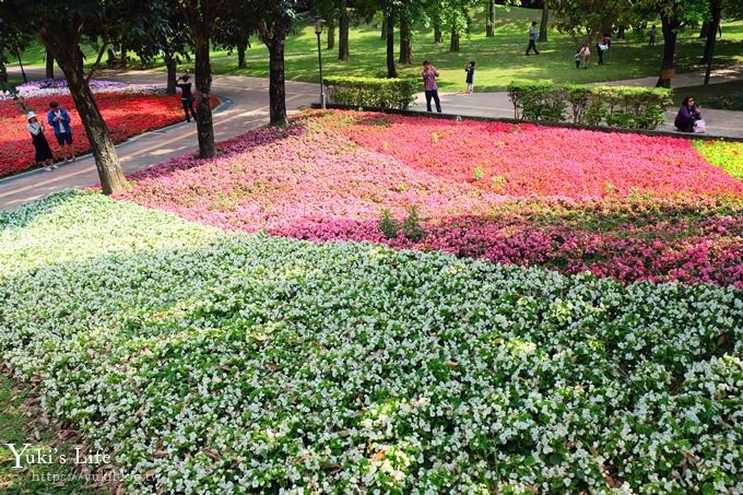 桃園景點【大溪埔頂公園】花海大草皮×親子景點 溜滑梯野餐好去處！(交通玩法攻略圖) - yuki.tw