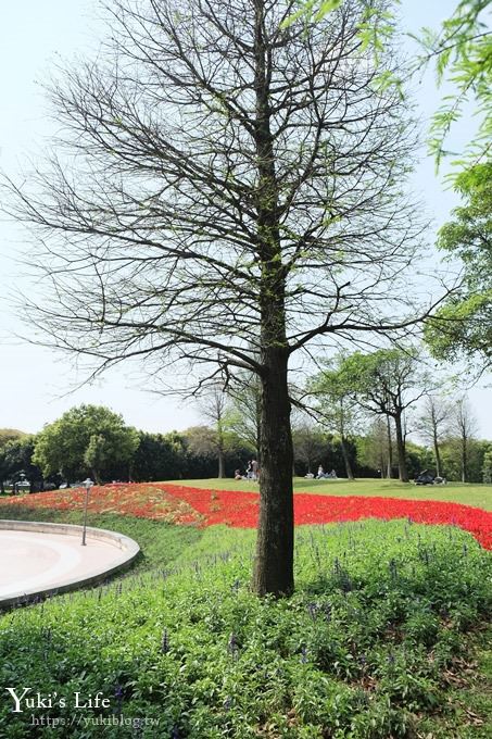 桃園景點【大溪埔頂公園】花海大草皮×親子景點 溜滑梯野餐好去處！(交通玩法攻略圖) - yuki.tw