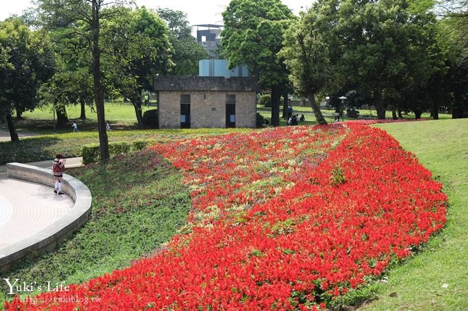 桃園景點【大溪埔頂公園】花海大草皮×親子景點 溜滑梯野餐好去處！(交通玩法攻略圖) - yuki.tw