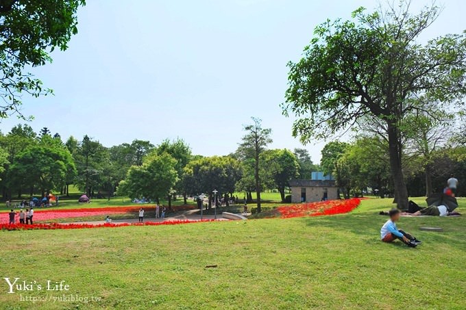 桃園景點【大溪埔頂公園】花海大草皮×親子景點 溜滑梯野餐好去處！(交通玩法攻略圖) - yuki.tw