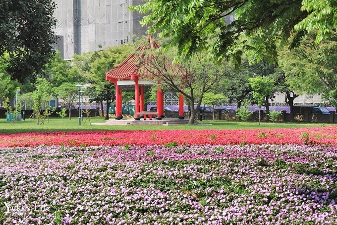 桃園景點【大溪埔頂公園】花海大草皮×親子景點 溜滑梯野餐好去處！(交通玩法攻略圖) - yuki.tw