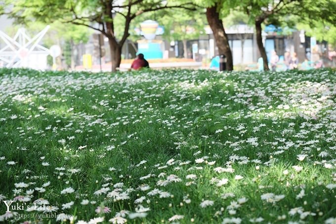 桃園景點【大溪埔頂公園】花海大草皮×親子景點 溜滑梯野餐好去處！(交通玩法攻略圖) - yuki.tw