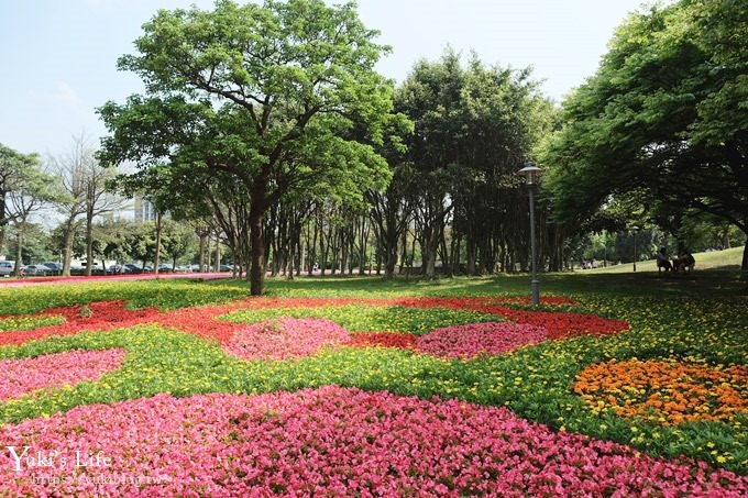 桃園景點【大溪埔頂公園】花海大草皮×親子景點 溜滑梯野餐好去處！(交通玩法攻略圖) - yuki.tw