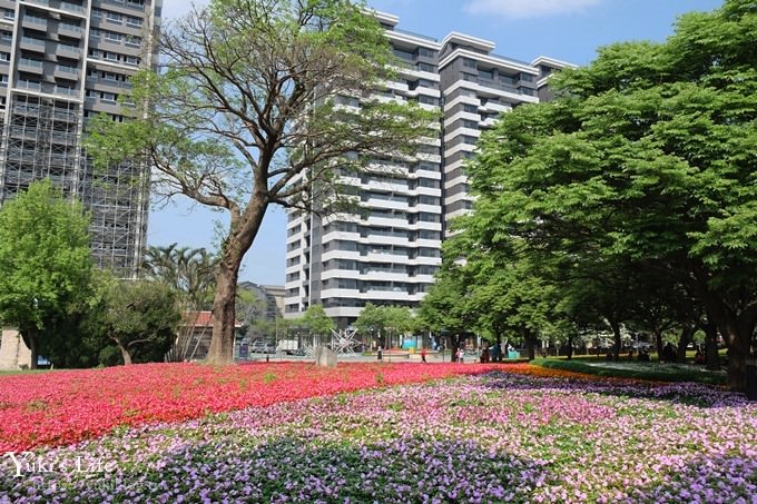 桃園景點【大溪埔頂公園】花海大草皮×親子景點 溜滑梯野餐好去處！(交通玩法攻略圖) - yuki.tw