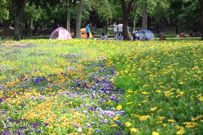 桃園景點【大溪埔頂公園】花海大草皮×親子景點 溜滑梯野餐好去處！(交通玩法攻略圖) - yuki.tw