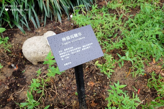 桃園觀光工廠》雅聞魅力博覽館，桃園免門票景點、峇里島風親子景點 - yuki.tw