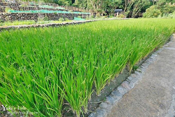 台北景點【臺北市客家文化主題公園】免費親子景點×生態親水園地×浪漫拍照好去處！(捷運台電大樓站) - yuki.tw