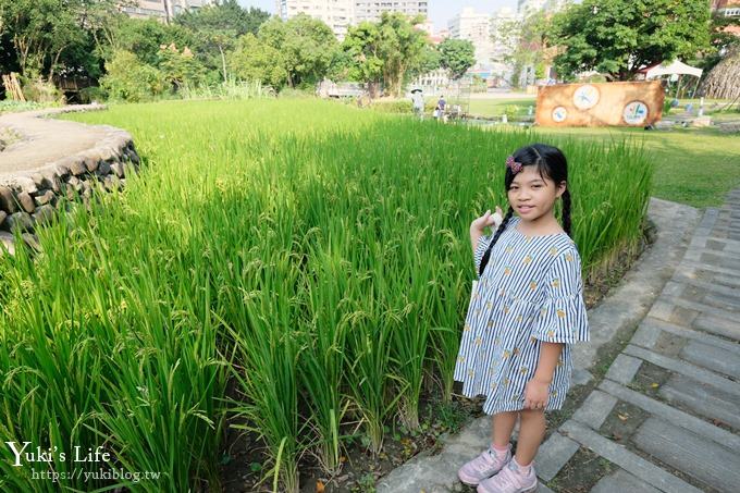 台北景點【臺北市客家文化主題公園】免費親子景點×生態親水園地×浪漫拍照好去處！(捷運台電大樓站) - yuki.tw