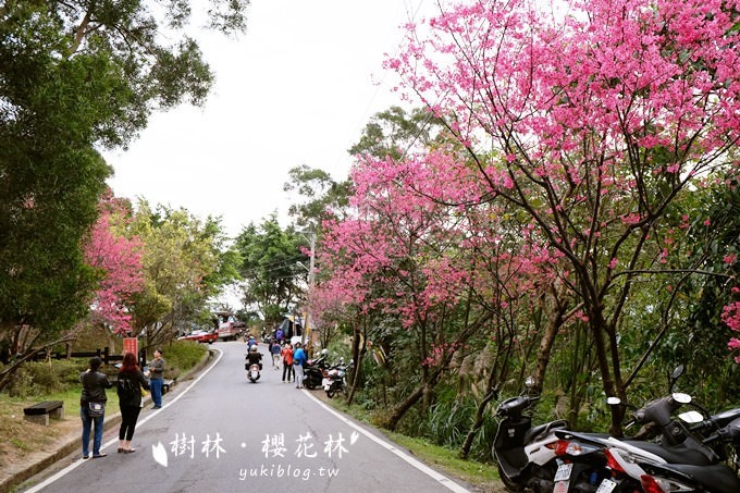 新北市賞花景點【樹林大同山●櫻花林木棧道】不用人擠人的小幸福❤ - yuki.tw