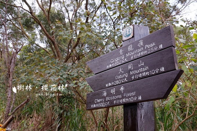 新北市賞花景點【樹林大同山●櫻花林木棧道】不用人擠人的小幸福❤ - yuki.tw