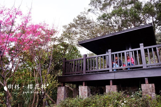 新北市賞花景點【樹林大同山●櫻花林木棧道】不用人擠人的小幸福❤ - yuki.tw