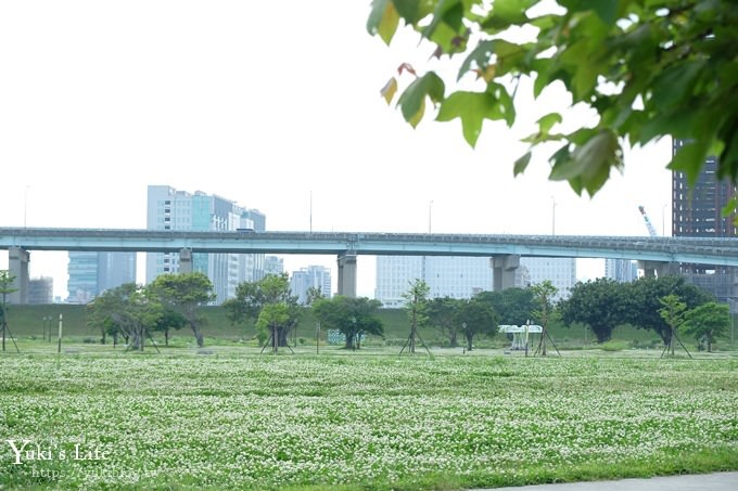 新北親子景點【大臺北都會公園】7公尺幸運草地景溜滑梯×野餐、騎車好去處→捷運三重站 - yuki.tw