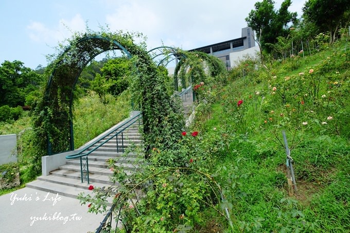 苗栗景點【雅聞七里香玫瑰森林】浪漫歐風玫瑰山谷×品嚐粉紅玫瑰冰淇淋 - yuki.tw