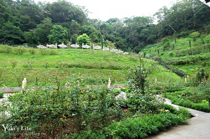 苗栗景點【雅聞七里香玫瑰森林】浪漫歐風玫瑰山谷×品嚐粉紅玫瑰冰淇淋 - yuki.tw