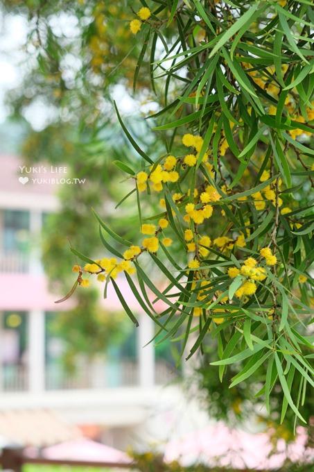 落羽松景點》心鮮森林LOVE大草皮拍照景點×踏青親子遊 - yuki.tw