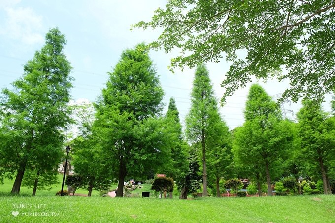 落羽松景點》心鮮森林LOVE大草皮拍照景點×踏青親子遊 - yuki.tw