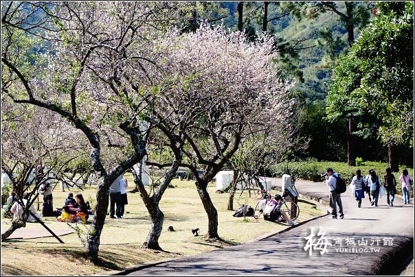 桃園復興免費景點【角板山行館】new戰備隧道3D彩繪×和風日式建築×LOVE造景拍照野餐約會去 - yuki.tw