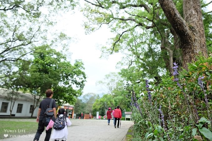 桃園復興免費景點【角板山行館】new戰備隧道3D彩繪×和風日式建築×LOVE造景拍照野餐約會去 - yuki.tw