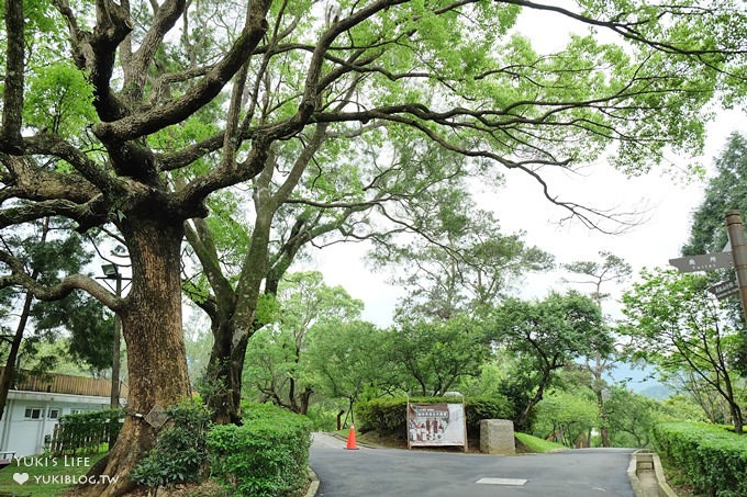 桃園復興免費景點【角板山行館】new戰備隧道3D彩繪×和風日式建築×LOVE造景拍照野餐約會去 - yuki.tw