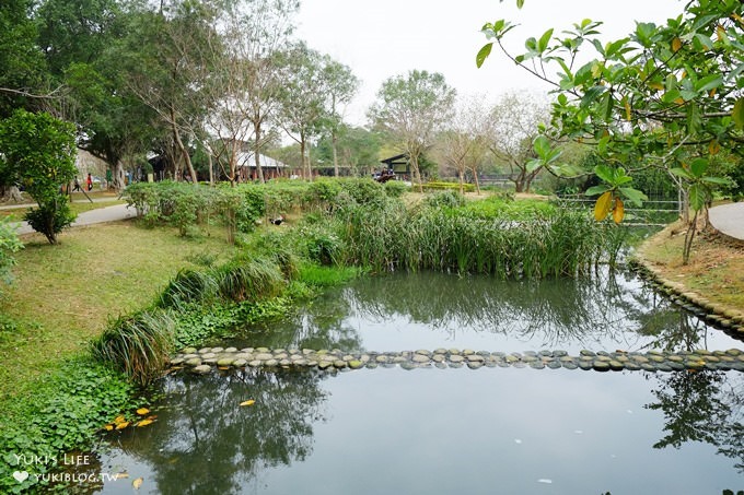 觸菛票！桃園景點【八德埤塘自然生態公園】大草皮親子好去處×池塘美景與可愛動物 - yuki.tw