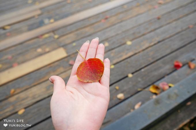 觸菛票！桃園景點【八德埤塘自然生態公園】大草皮親子好去處×池塘美景與可愛動物 - yuki.tw