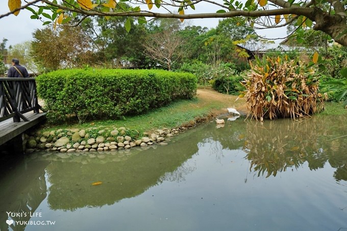 觸菛票！桃園景點【八德埤塘自然生態公園】大草皮親子好去處×池塘美景與可愛動物 - yuki.tw