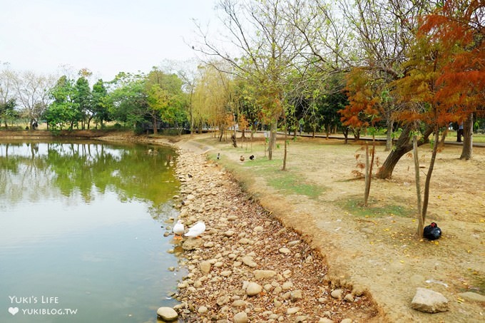 觸菛票！桃園景點【八德埤塘自然生態公園】大草皮親子好去處×池塘美景與可愛動物 - yuki.tw