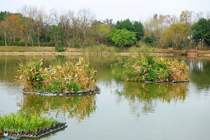 觸菛票！桃園景點【八德埤塘自然生態公園】大草皮親子好去處×池塘美景與可愛動物 - yuki.tw