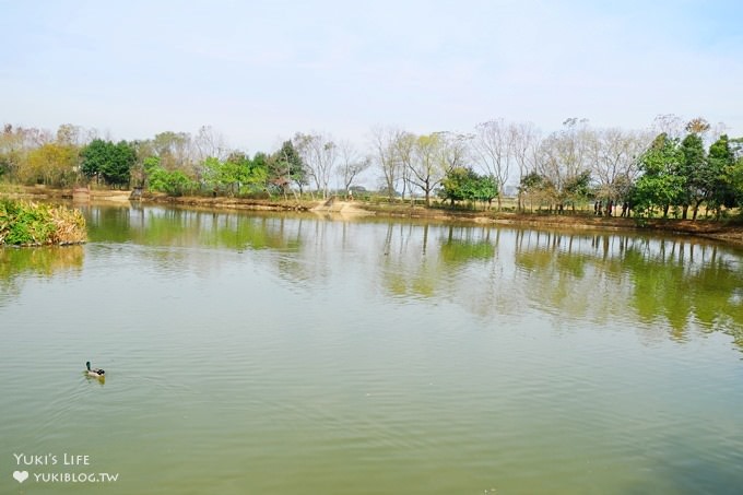 觸菛票！桃園景點【八德埤塘自然生態公園】大草皮親子好去處×池塘美景與可愛動物 - yuki.tw