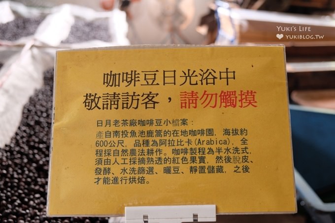 南投魚池拍照景點【日月老茶廠】上廁所要脫鞋的生機盎然老茶廠×也是一個拍照好去處 - yuki.tw