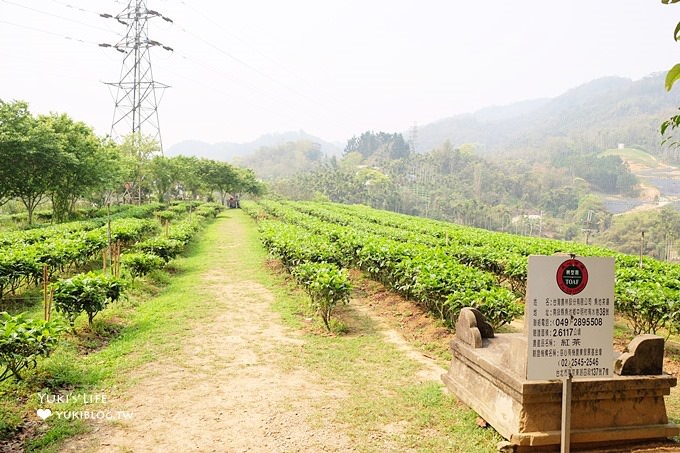 南投魚池拍照景點【日月老茶廠】上廁所要脫鞋的生機盎然老茶廠×也是一個拍照好去處 - yuki.tw