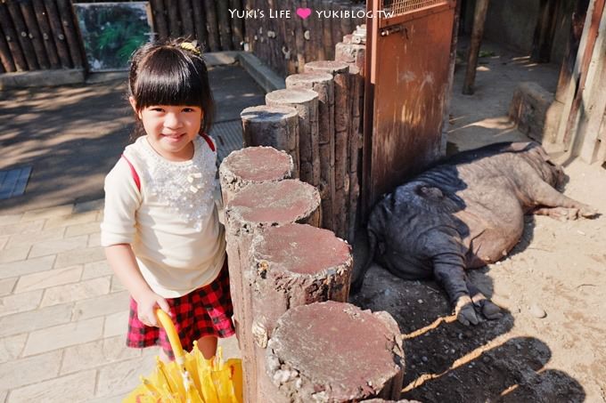 台北【木柵動物園貓纜一日遊】動物園南站免排隊攻略+小精靈貓空水晶纜車+貓空美食 - yuki.tw