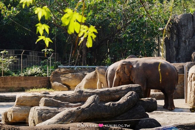 台北【木柵動物園貓纜一日遊】動物園南站免排隊攻略+小精靈貓空水晶纜車+貓空美食 - yuki.tw