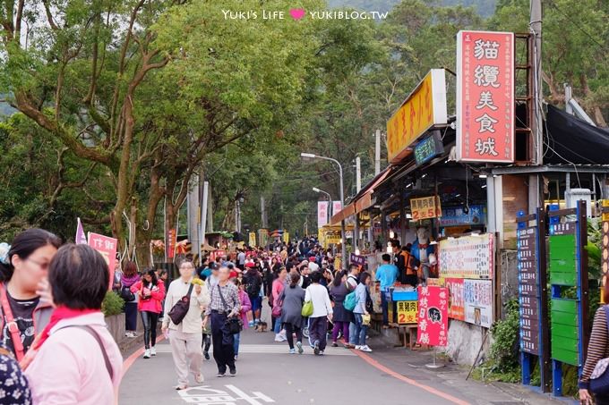 台北【木柵動物園貓纜一日遊】動物園南站免排隊攻略+小精靈貓空水晶纜車+貓空美食 - yuki.tw