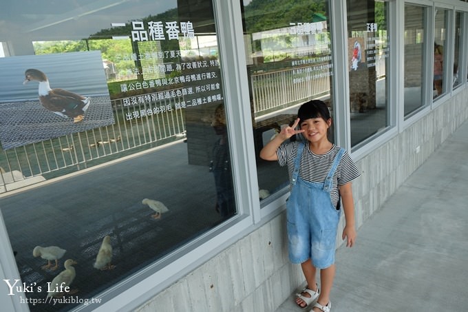 宜蘭景點【甲鳥園ㄚㄚ的家】親子生態之旅×鴨鴨豪華的家超厲害！鴨蛋蛋糕、麵包下午茶 - yuki.tw