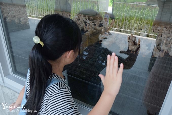 宜蘭景點【甲鳥園ㄚㄚ的家】親子生態之旅×鴨鴨豪華的家超厲害！鴨蛋蛋糕、麵包下午茶 - yuki.tw