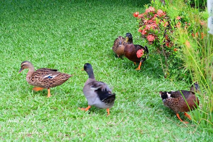 花蓮民宿推薦【薩爾茲堡莊園】歐風童話城堡×樓中樓無敵景觀、大草皮放空親子遊 - yuki.tw